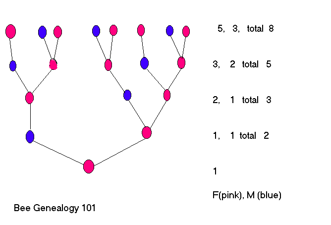 Bee Genealogy