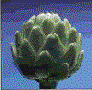 Artichoke