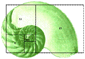 http://www.mathacademy.com/pr/prime/articles/fibonac/fibonac_8.gif